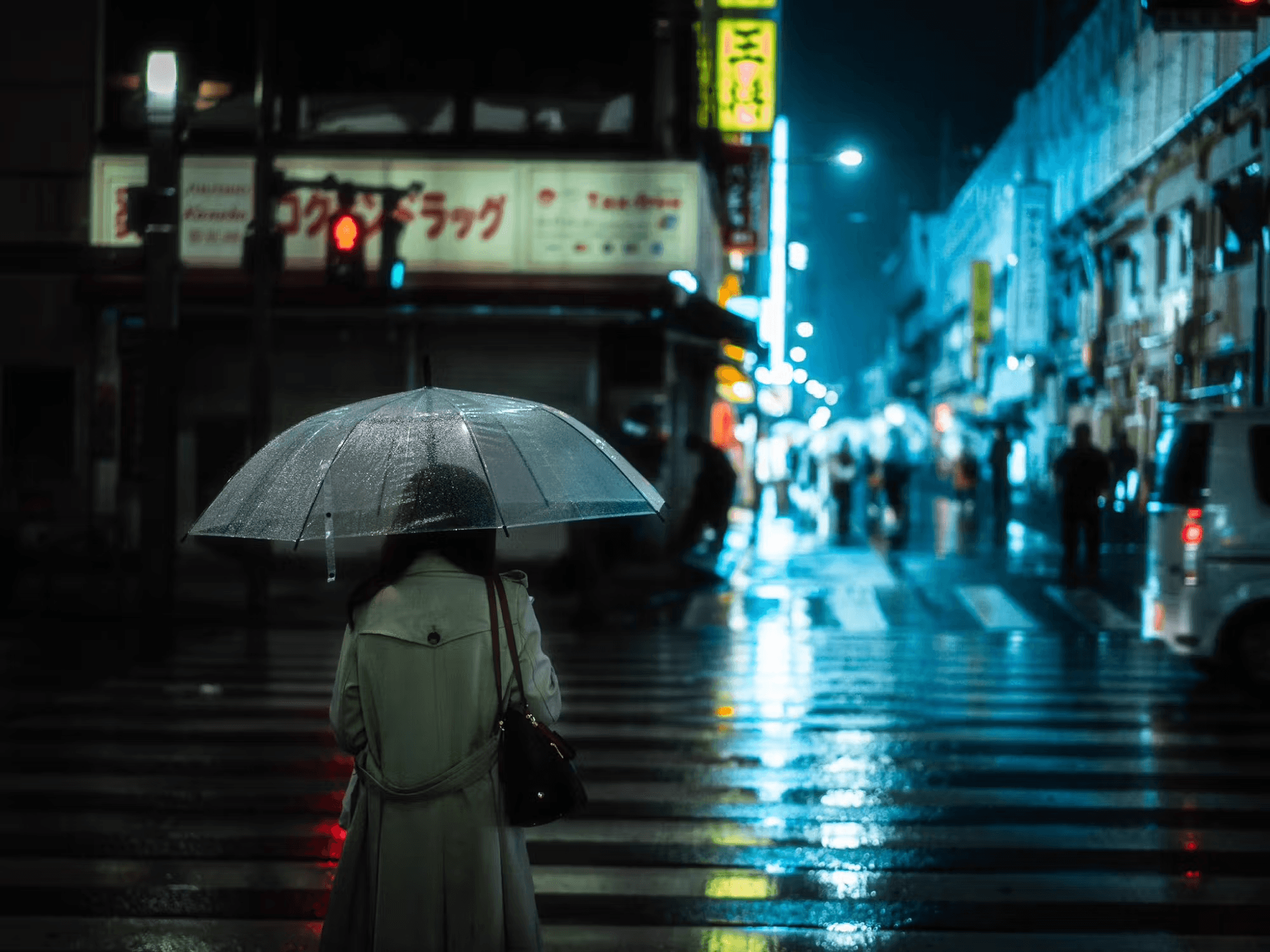 Reflections in the Rain